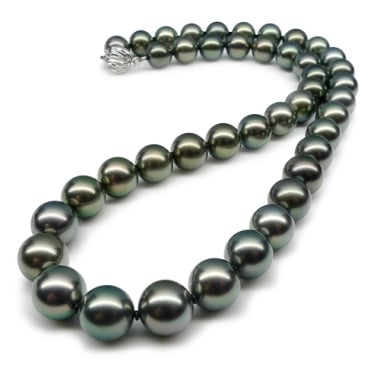 Classic Akoya Pearl necklace