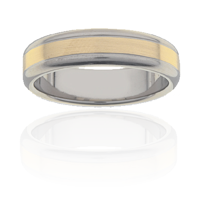 Mens Titanium and 18K Y/G two tone ring, 6mm wide